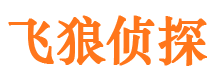 武安市调查公司